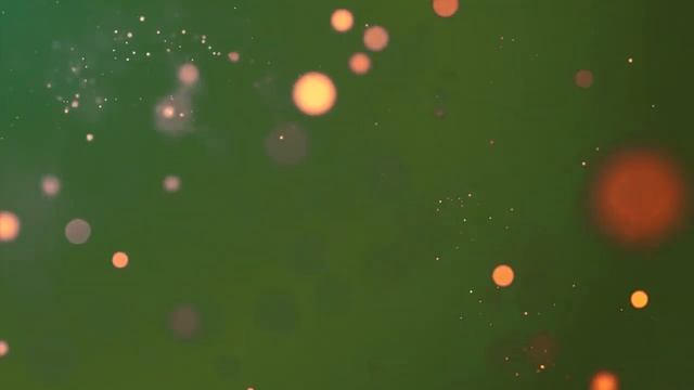 41d7d0b9bd963067d60b519d309c510b