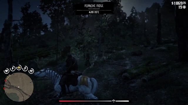 Red Dead Redemption 2 Как изучить и выследить Флоридскую пуму, п