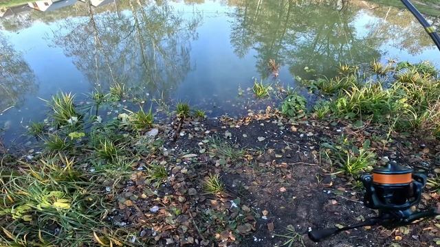 Малаховское озеро после очистки. 17.10.2024.