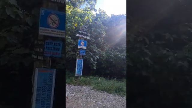 294ef0230b0d412154a530403d14d9d8