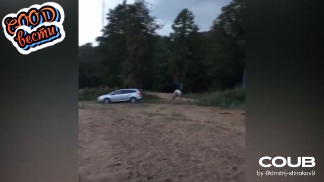 Dc1b2407ac979b3745ac4bc099d72056