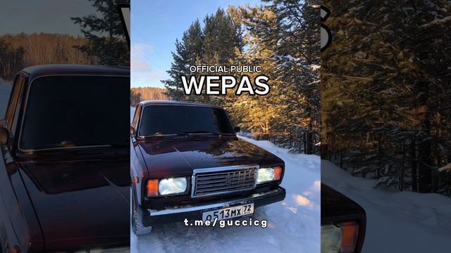 377f122989817ba9f00d747c8e26adb4