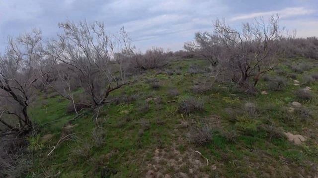 401a177f35a086da6ebbbe9f3fa7f5c2