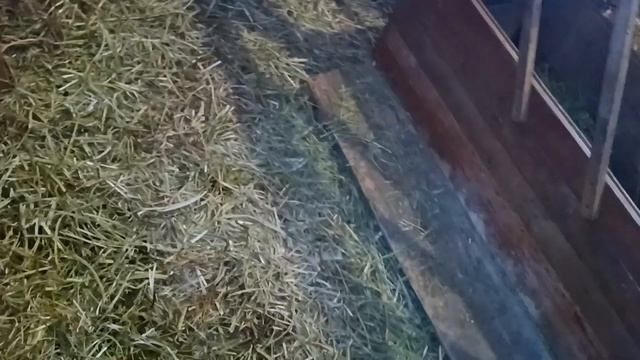 Дружковка 7 марта 2025 г. Пчёлки,борщ,блины.