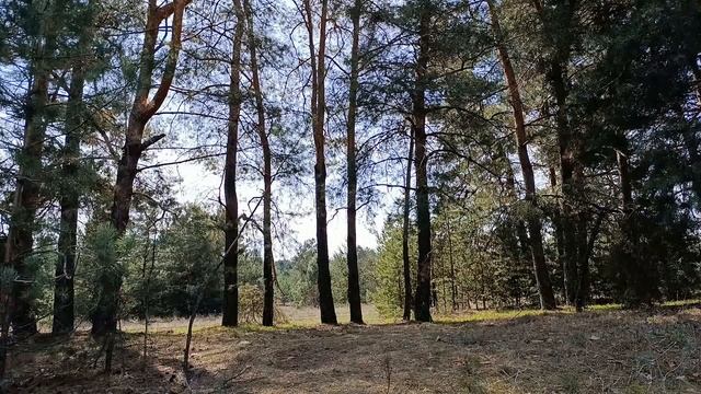 5 мая народный праздник День Луки.Что делать нельзя.На?