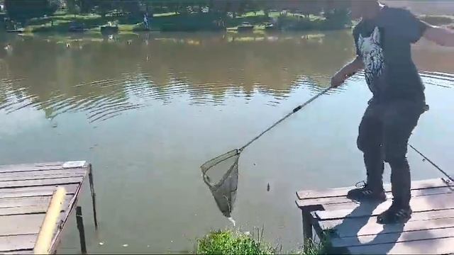 Светлые Горы Карп 29.06.2024г.