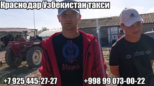 Краснодар Узбекистан такси,￼ краснодарский край Узбе
