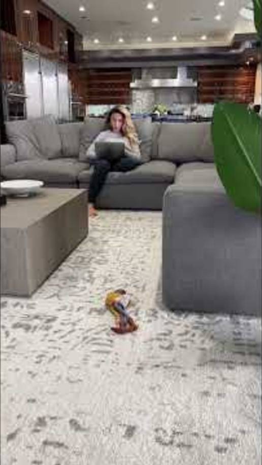 Девушка сильно испугалась от розыгрыша (Пранк)