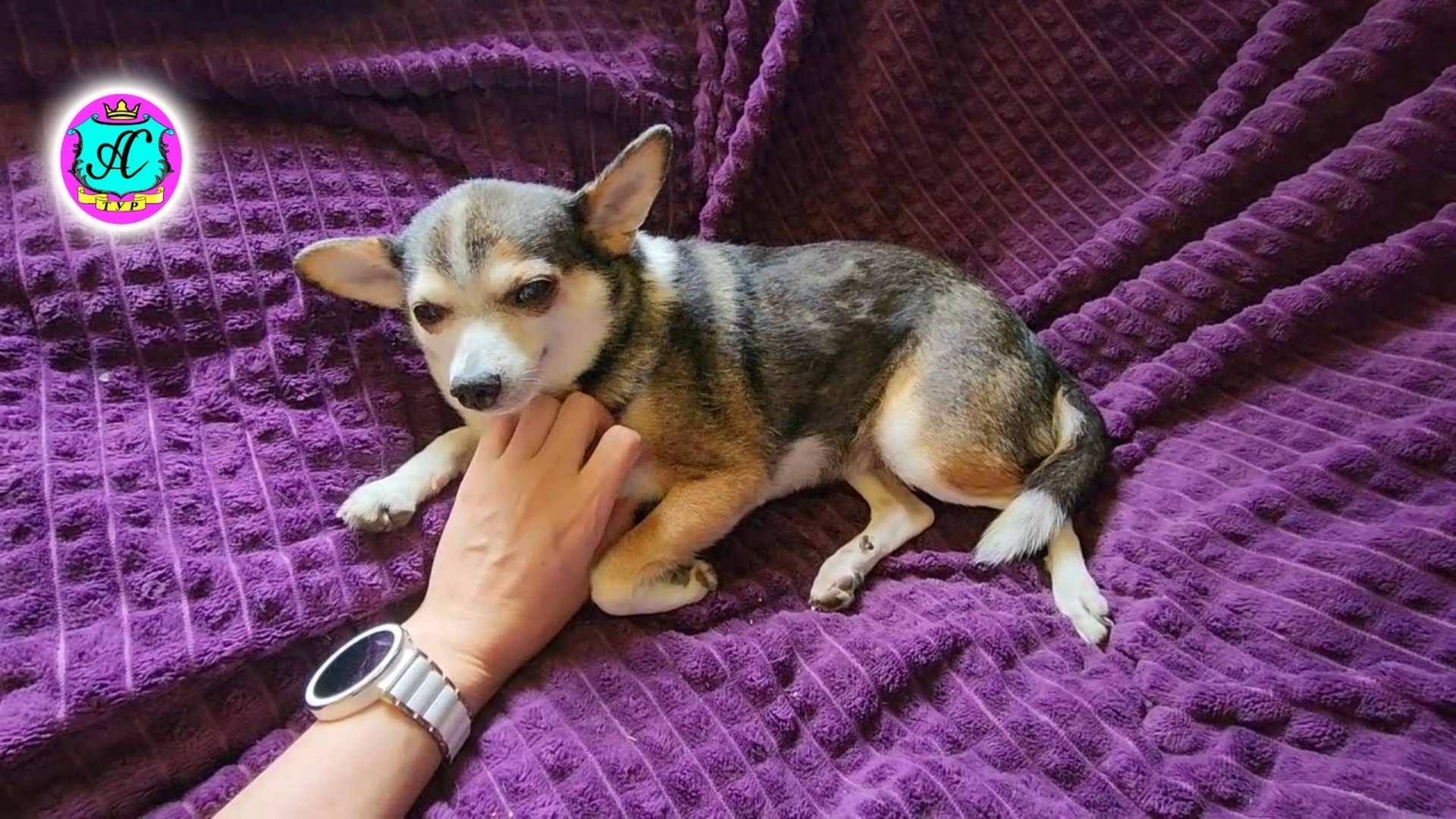 #Абхазия! Сухум. Каштак. Гостевой Дом 