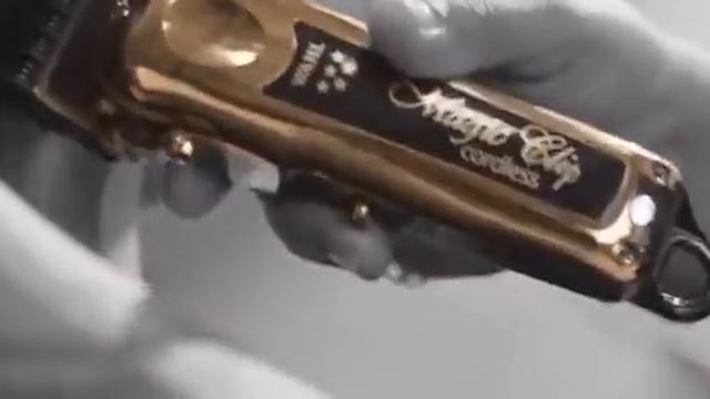 🔥Wahl Золото Magic Clip Только в Краснодаре от @zatochka_top