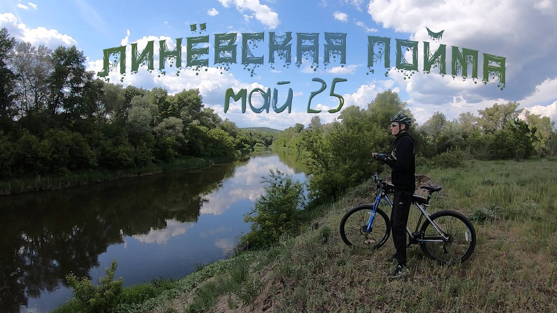 Линёвская пойма