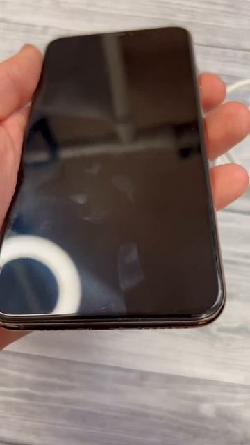 Обзор IPhone XS Max 256