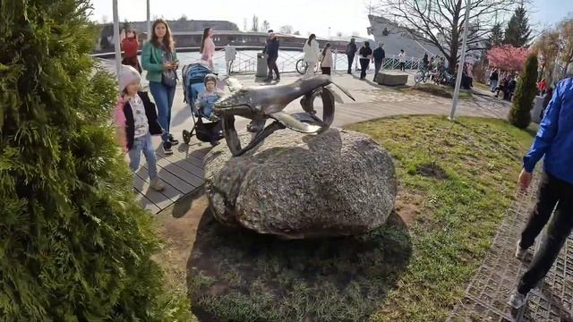 Нашли СЕРДЦЕ КАЛИНИНГРАДА/Цветение САКУРЫ/Толпы тури?