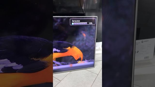 Телевизор Samsung 19900