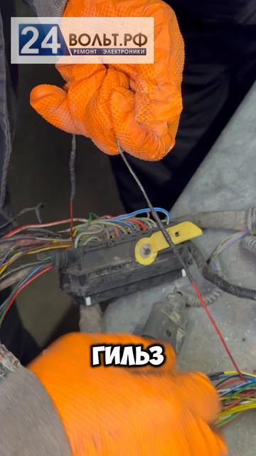 ⚠️ Ты НЕ ПОВЕРИШЬ, что нашли внутри жгута! 😱 Mercedes Actros