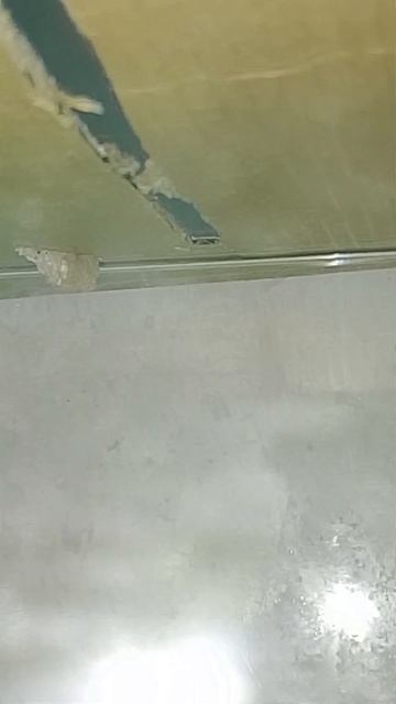 кратко жизнь улиток и плодоводство 

жэд