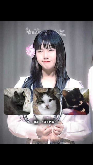 Когда нибудь они перестанут есть меня, но не в этой жиз