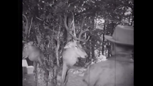 Кинохроника прошлых лет. Выпуск 13 часть 3