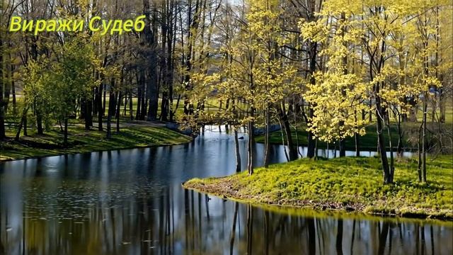 «Что тебе еще надо от него Он не пьет, не бьет, работает