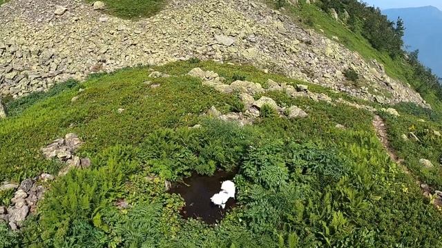 пик Тальцинский | Хамар-Дабан