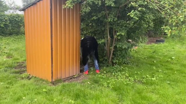 Урок самозащиты от крокодила Данди. 3 часть.