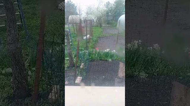 Смс от мошенников- 88005008374 номер мошенников, а не VTB.