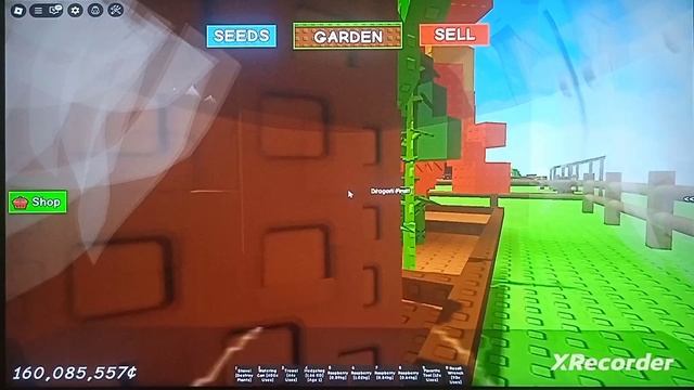 И снова сад! | Роблокс |