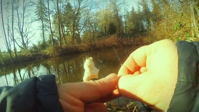 Душа поёт, когда клюёт). Плотва - батоны на болтушку.