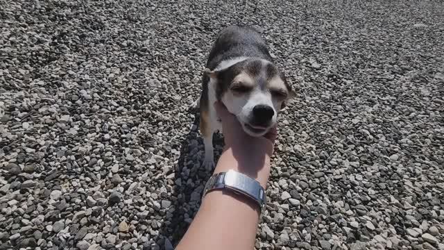 #Абхазия!🌴Сухум. Каштак. ГД  