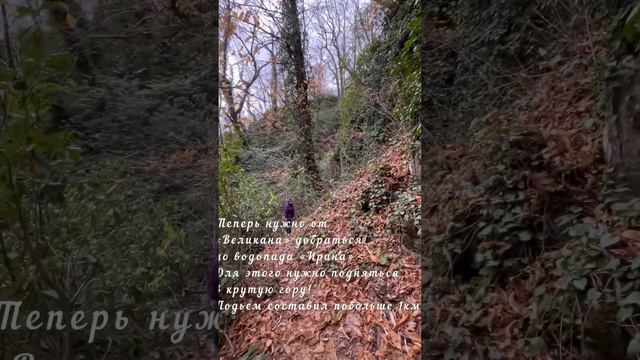 Абхазия. Экскурсия - поездка на джипах к горным водопа?