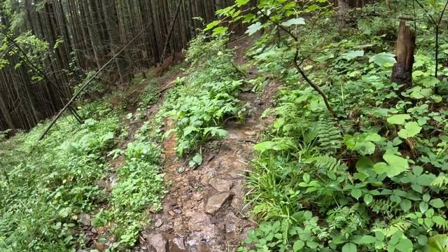 Bukovel Summer Trip. Day 2/ Летний поход по Буковелю. День второй...