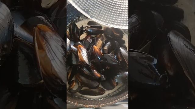 Паста с мидиями в сливочном соусе. Pasta With Mussels In Creamy Sauce.