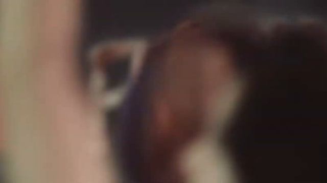 B8316a2e7dd8b42f7d50e9e3a6d2131c