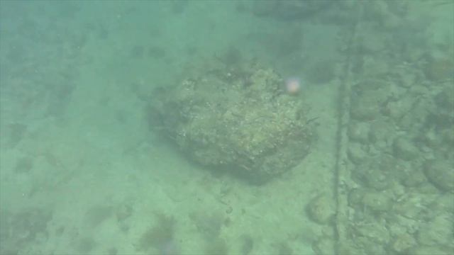 ЧТО МОЖЕТ быть лучше.ЖИЗНЬ В ОКЕАНЕ.Life In The OCEAN