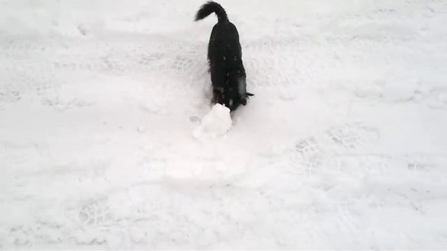 Db788ca8c284bc8e3d9e8757cbec61cb