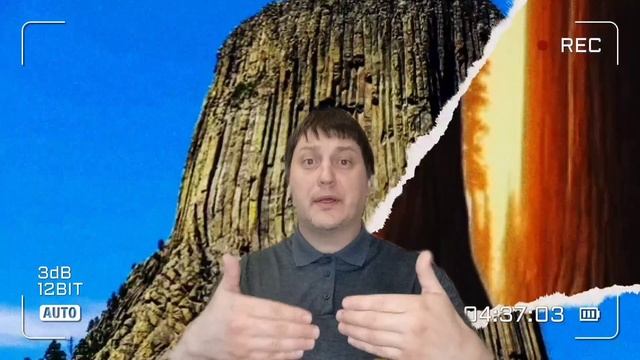 Факты или миф,деревья 20 км.