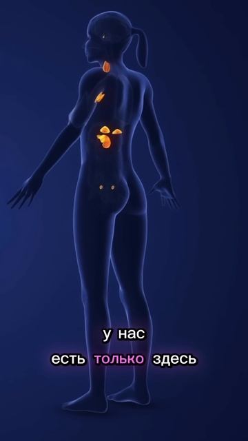 C0b743a3ddbf60647cb4fc365e04dd5e