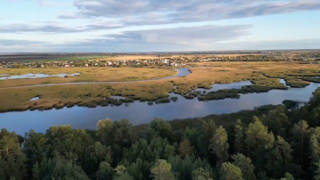 Участок расположен в живописном хвойном лесу.