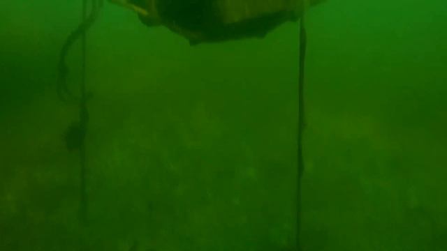 9c82164a1f6a65396e3409957130f68e