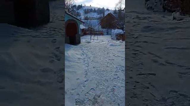 Утро в Пилипце - история 1 дня отдыха в Закарпатье от Украина-тур