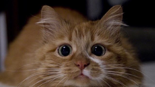 разбор игры чарли стейк