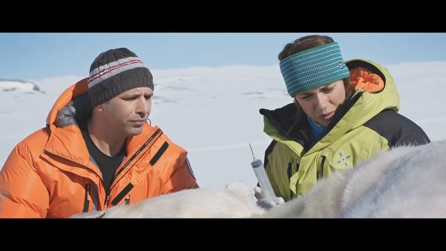 К черту на рога  фильм в СИНЕМА ПАРК