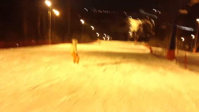 Степаново 2013