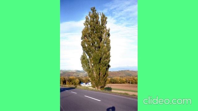 Дидактична гра 