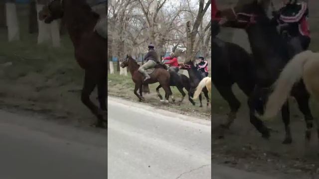 Өстемір Черный Аза