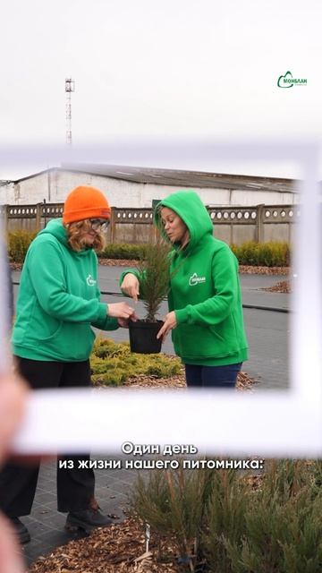 Обычно вы видите уже готовый результат