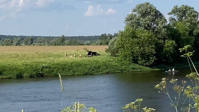 Mùa Hè Nước Nga| шашлык летом в Подмосковье