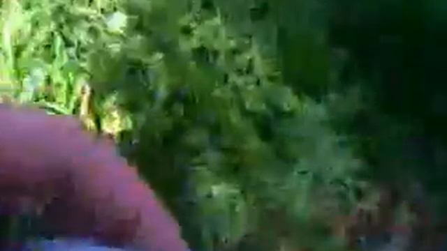 УБИЙСТВО Gnusmas C3011