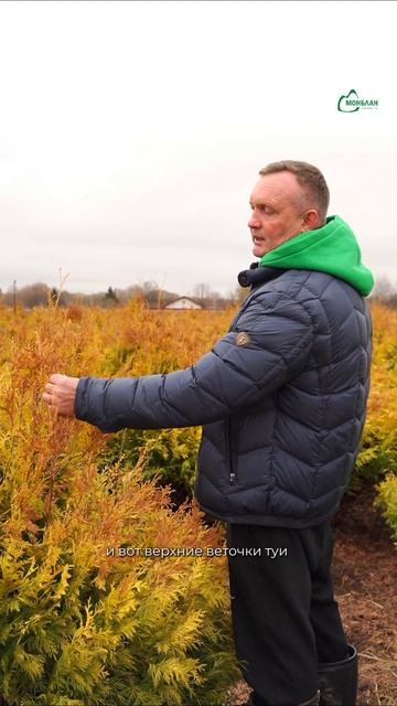 Даже мягкая зима может оставить след: