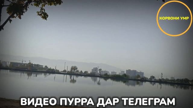 ДАР ЯК СОНИЯ ҶОНША АЗ ДАСТ ДОД ЭҲТИЁТ БОШЕД ҒАРИБО